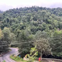 اجاره ویلا استخردار جنگلی بیلیارد 130|اجارهٔ کوتاهمدت ویلا و باغ|ماسال, |دیوار