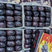 تعداد ۱۷۰مادر کارتن خرمارطب درجه ۱