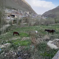 سوئیت اجاره ای با تمام امکانات در ونایی|اجارهٔ کوتاه‌مدت آپارتمان و سوئیت|بروجرد, |دیوار