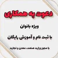 کار در منزل برای بانوان