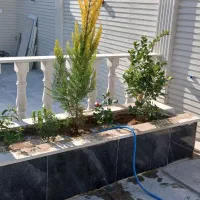 باغبانی ،باغچه کاری ویلا.هرس کردن درخت