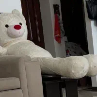عروسک خرسی