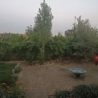 فروش خونه باغ و دامداری در ساوه با سند تک برگ|فروش دفتر صنعتی، کشاورزی، تجاری|تهران, منیریه|دیوار