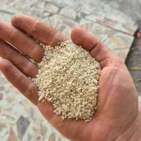 خرید و فروش ریزه و ضایعات برنج