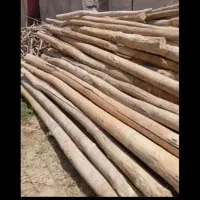 خرید چوب سقفی یاهمون دام تیری سالم وپوسیده|خدمات باغبانی و درختکاری|تاکستان, |دیوار