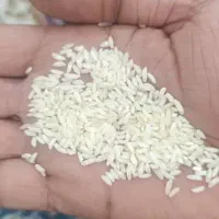 برنج عنبر بو