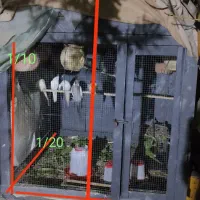 دوتا قفس پرنده قسمت توضیحات رو حتماً ببین