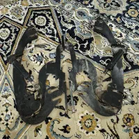 درخفاشی سایپا