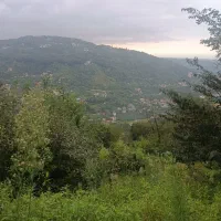 زمین۲۷۵متری،مسکونی تودارک تنکابن،باویو جنگل و دریا|فروش زمین و ملک کلنگی|دالخانی, |دیوار