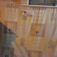 تشک دونفر|تشک تختخواب|اصفهان, سنبلستان|دیوار