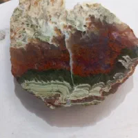 سنگ شجرپاییزه