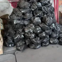 زغال کبابی پسته