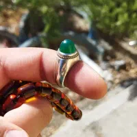 پنج عدد انگشتر|جواهرات|کرج, فاز ۳ مهرشهر|دیوار