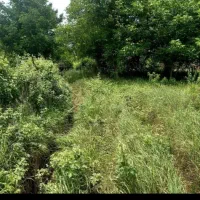 فروش زمین موقعیت مسکونی