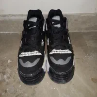 کفش نیکید ولش نو