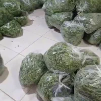 پخش سبزی آماده|خوردنی و آشامیدنی|باقرشهر, |دیوار