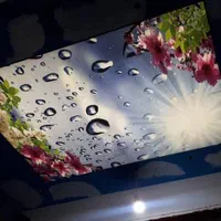 مجری انواع سقف های کشسان