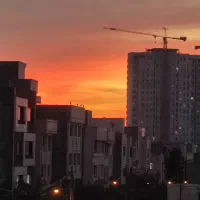 کوهک شرقی/شخصی ساز/سند تک برگ