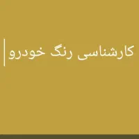 فروش امتیاز و سازه مغازه کارشناسی رنگ خودرو