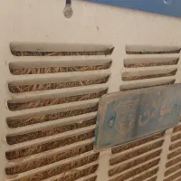 یک عددکولرآبی مدل سولان کاملاسالم درحدنو