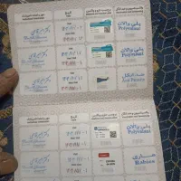 فروش یه قلاده سگ مالینویزیک ساله قیمت ۸تومن مقطوع|سگ|سمیرم, |دیوار