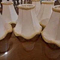 شیدلوستر ۱۶ عدد نو