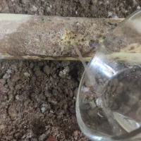 تشخیص ترکیدگی لوله رفع نم ونشتی رطوبت زردی چکه|خدمات پیشه و مهارت|رشت, پاره بیجار|دیوار