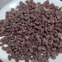 کشمش ملکان امسال آفتابی خانگی