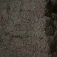 یونجه خشک انباری. ( درجه یک)