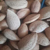 بادام