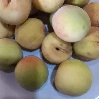 هلو سفید