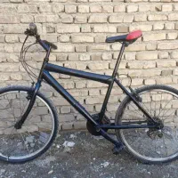 دوچرخه ۲۴ تنه کوتاه