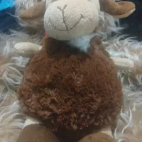 بزغاله قهوه ای