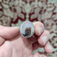 تعدادی انگشترشجر کلکسیونی|جواهرات|کرمانشاه, |دیوار