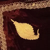 شناسنامه گم کردم