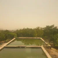 کارگر باغ وارد به باغبانی|استخدام صنعتی، فنی، مهندسی|تهران, اختیاریه|دیوار