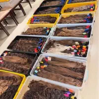 خرید موی طبیعی