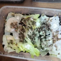 جوجه حلزون|خزنده|تهران, جنت‌آباد مرکزی|دیوار