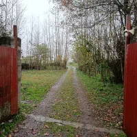 پکیج کامل(شالی،زمین،ویلاوباغ)کنارهم گیلان رشت سنگر