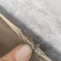 سمپاشی ۱۰۰/ تضمینی ساس سوسک کنه موش ( درمصلی وچمن)|خدمات نظافت|مشهد, کوی سیدی|دیوار