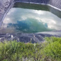 علف روستایی ارموداق