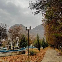 راهنمایی عمل بینی