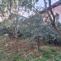 فروش ویلای ۱۰۰ متری در شیرگاه|فروش خانه و ویلا|شیرگاه, |دیوار