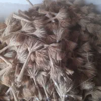 دسته گندم|عمده‌فروشی|اردبیل, |دیوار