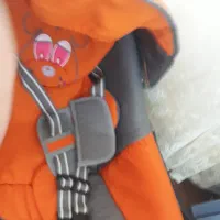 صندلی غذا کریر