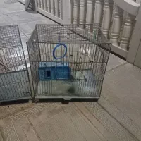 قفس پرنده