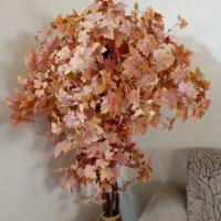 درخچه تزئینی شیک