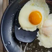 تخم مرغ محلی گلپایگانی با پیک رایگان