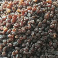 کشمش پلویی|خوردنی و آشامیدنی|تهران, هفت چنار|دیوار