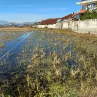 فروش-فوری-زمین-مسکونی-در-شلمان